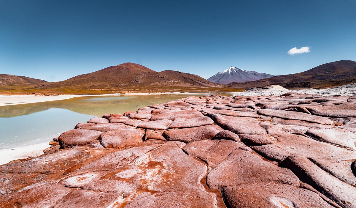 flaviabia-atacama-tour-lagunas-altiplanicas-e-piedras-rojas2